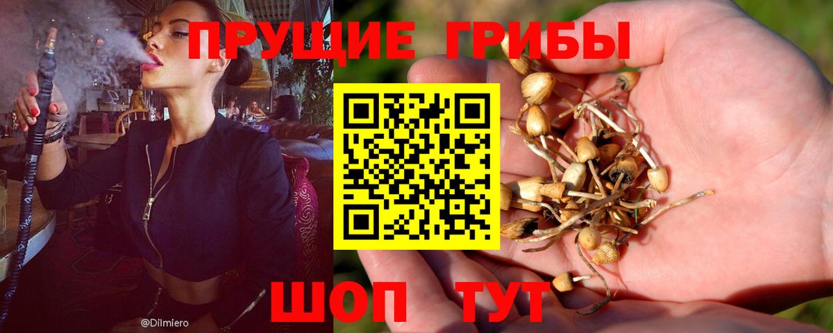 Псилоцибиновые грибы Magic Shrooms Карталы